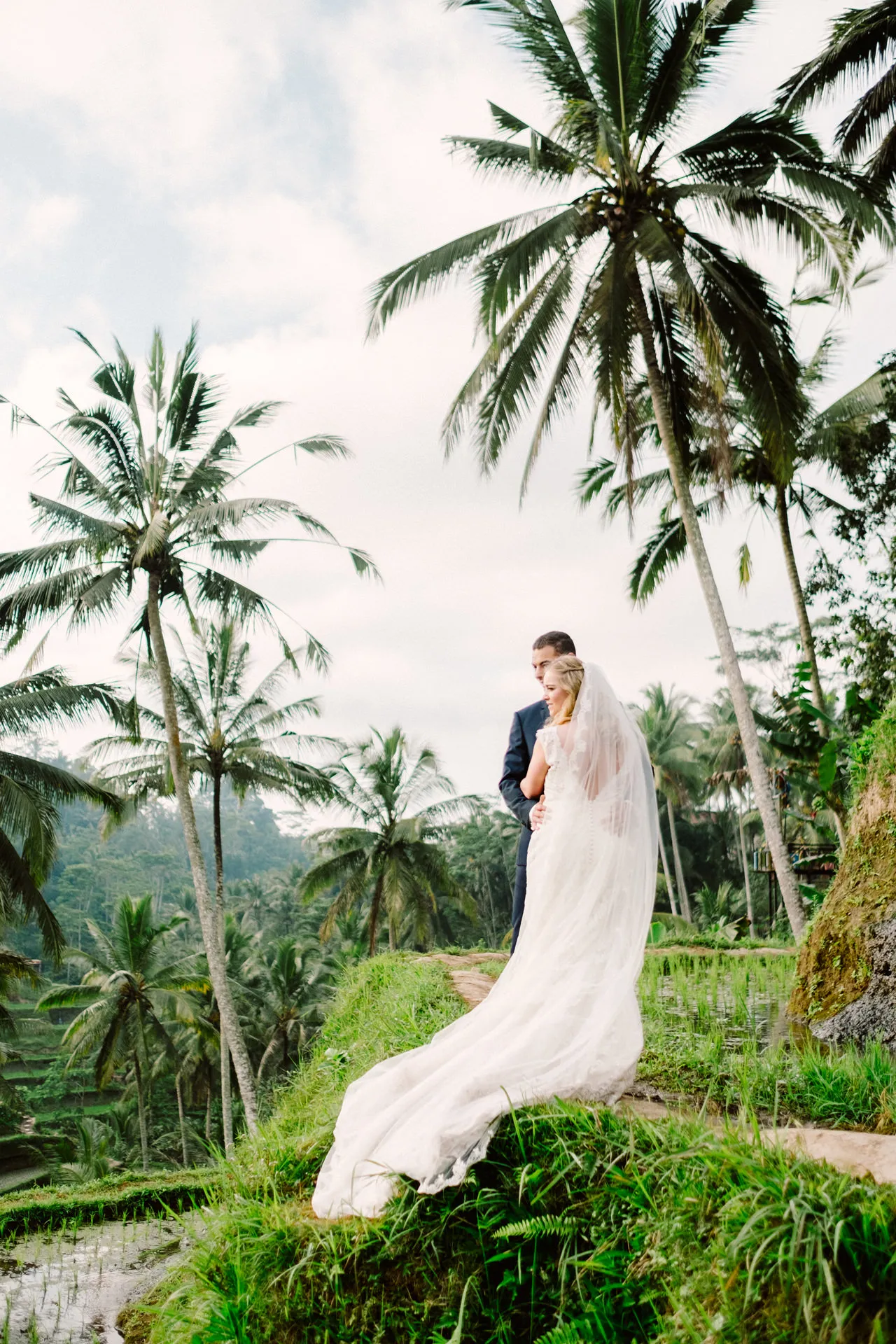 8368 rice terraces