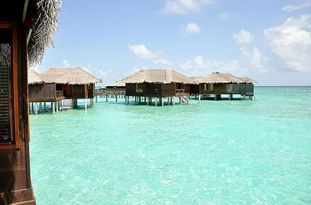 8371 mn honeymoon planning