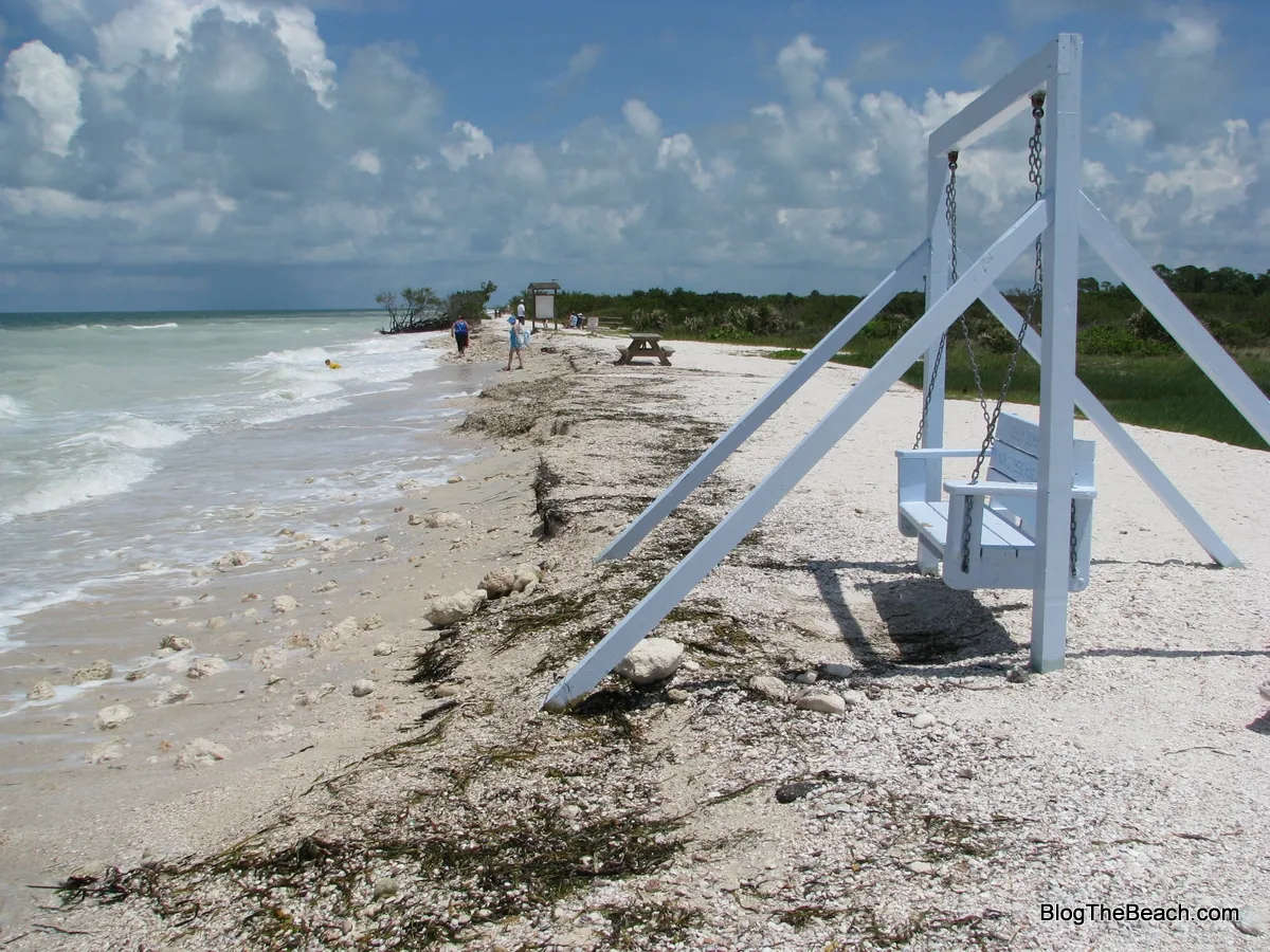 8381 avoid shark encounter tips