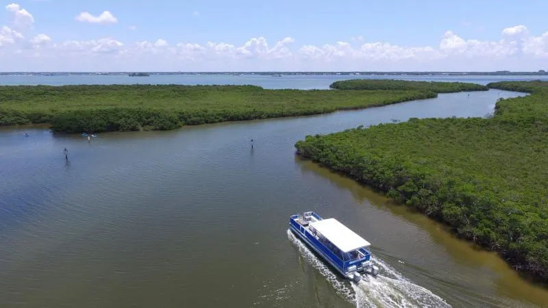 8381 shark habitat honeymoon island