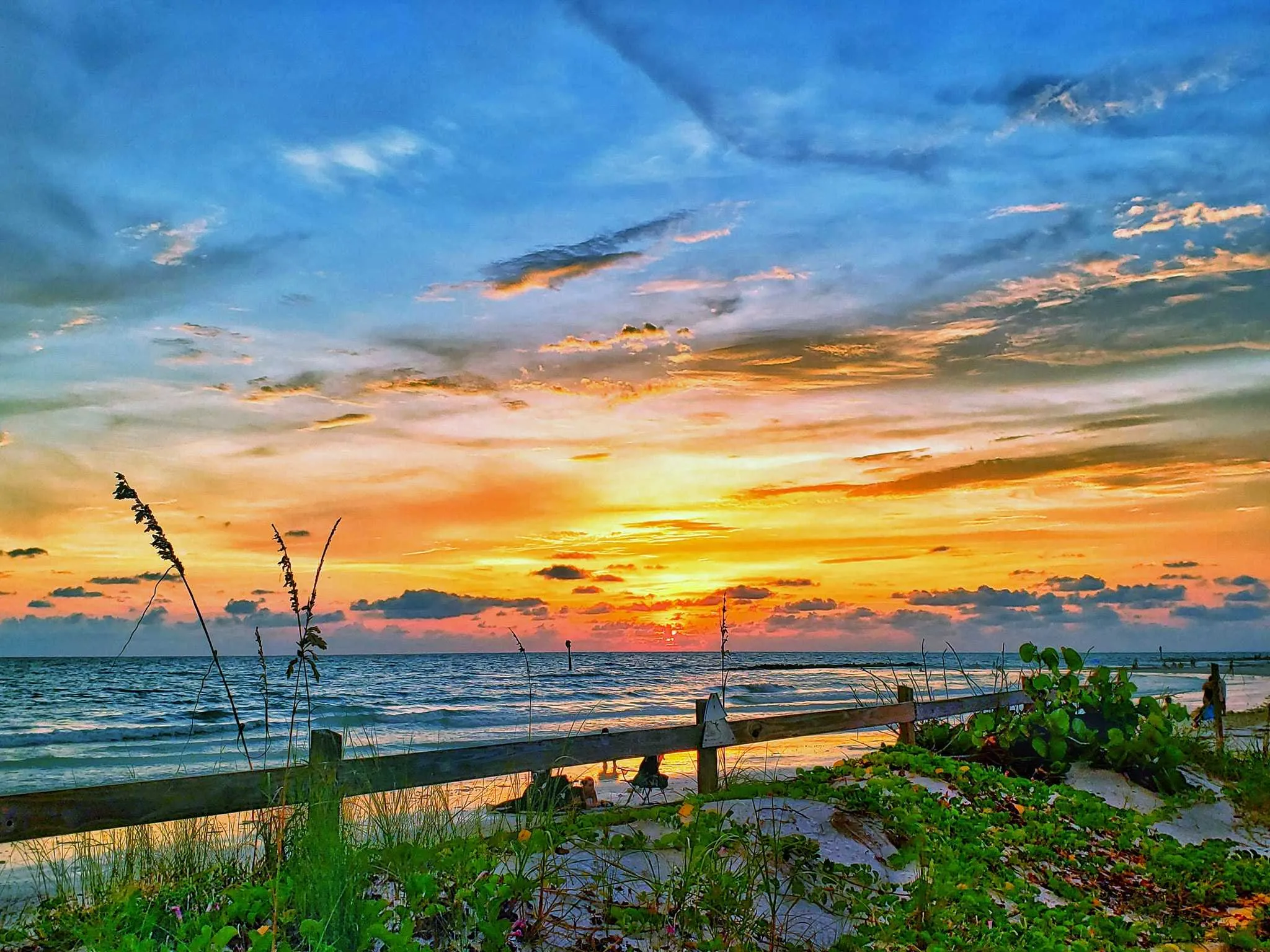 8389 honeymoon island picnic