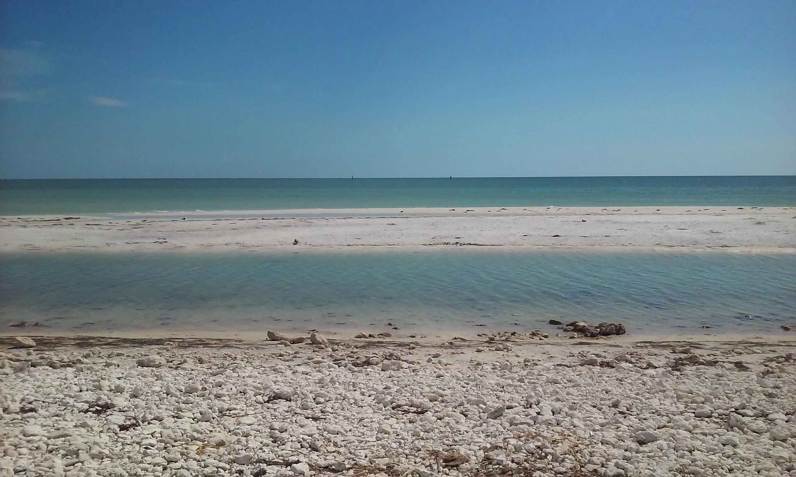 8389 kayaking honeymoon island