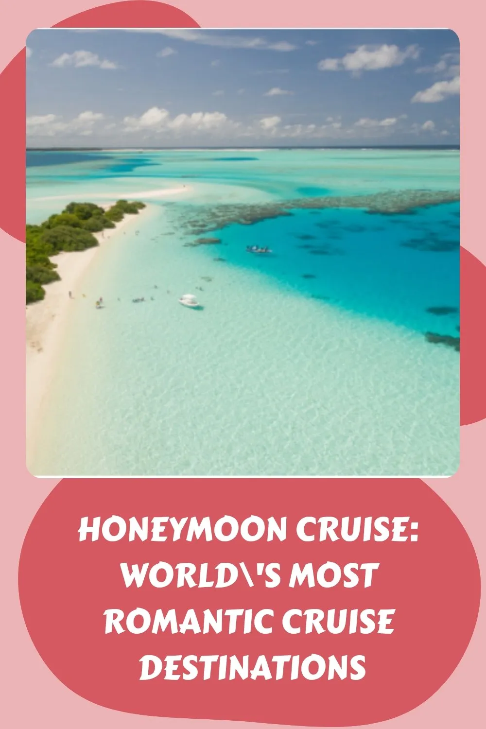 8391 msc cruise honeymoon