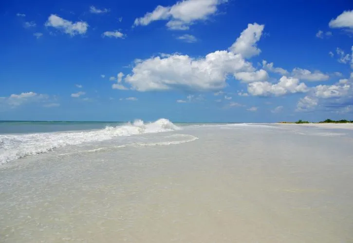 8395 egmont key