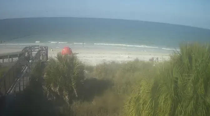 8397 honeymoon island activities
