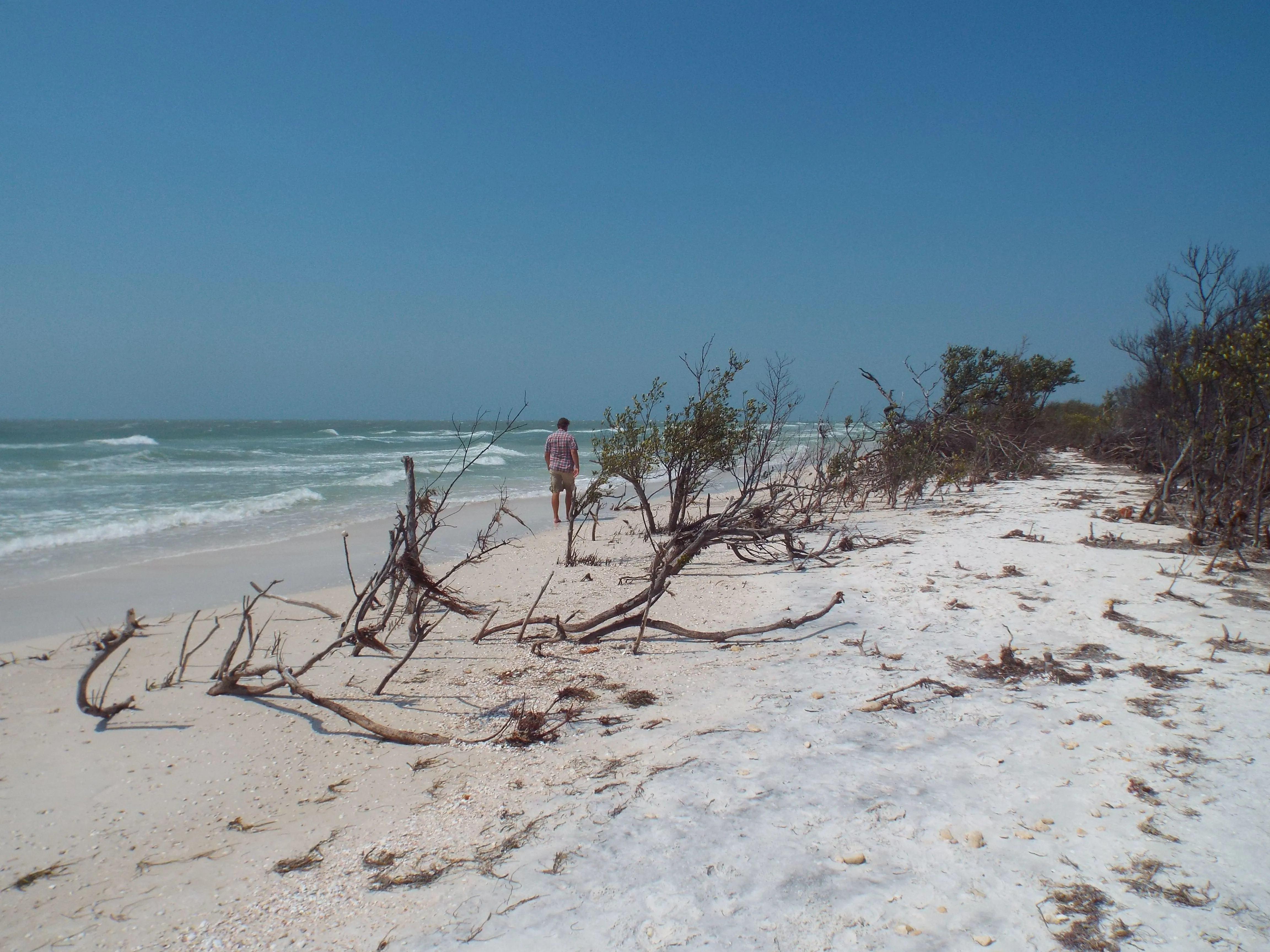 /img/8397-honeymoon-island-visitor-guide.webp