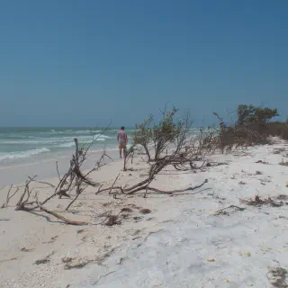 /img/8397-honeymoon-island-visitor-guide.webp