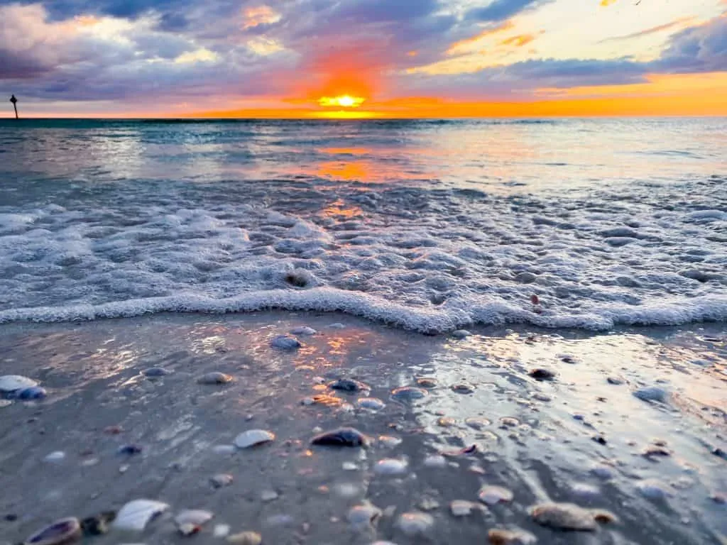 8399 sanibel island shelling