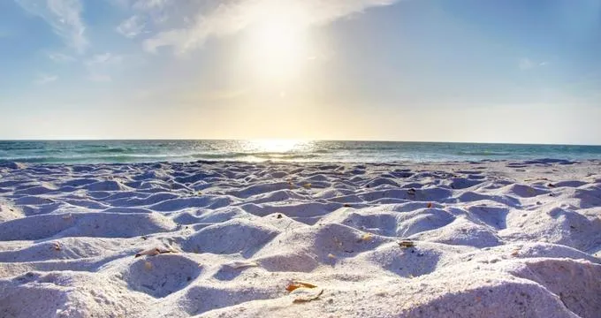 8400 orlando honeymoon activities