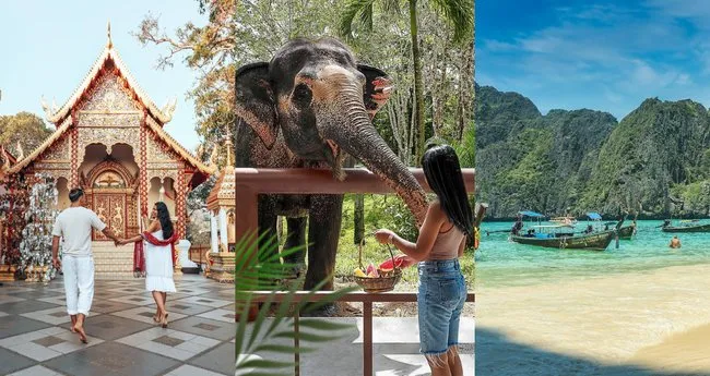 8408 chiang mai elephant