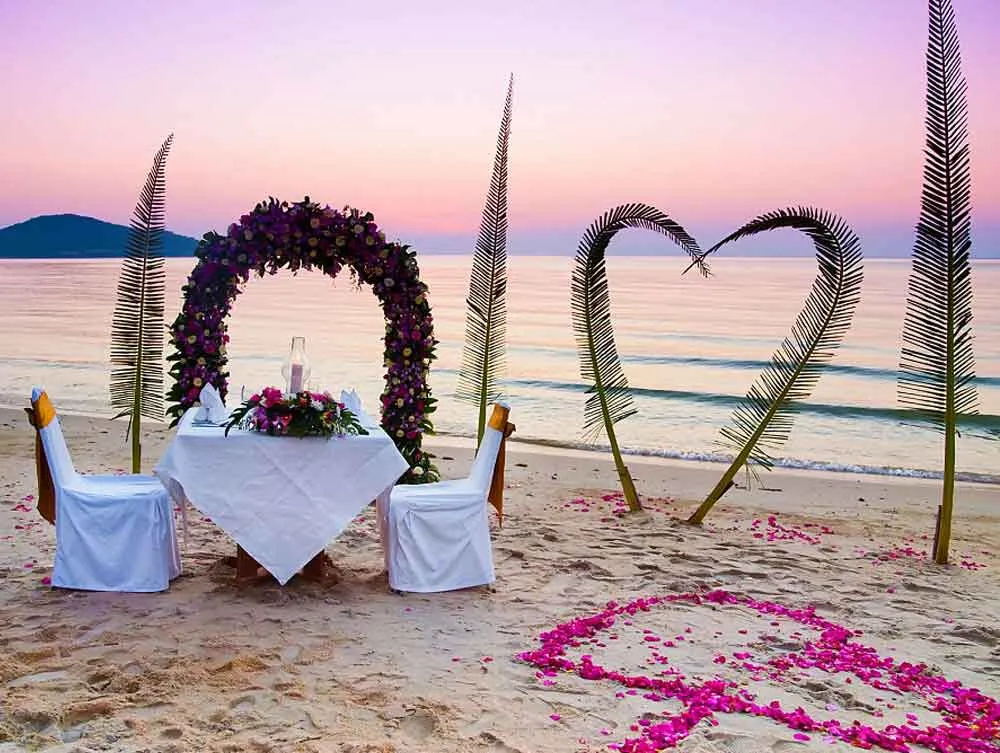 8420 maldives honeymoon