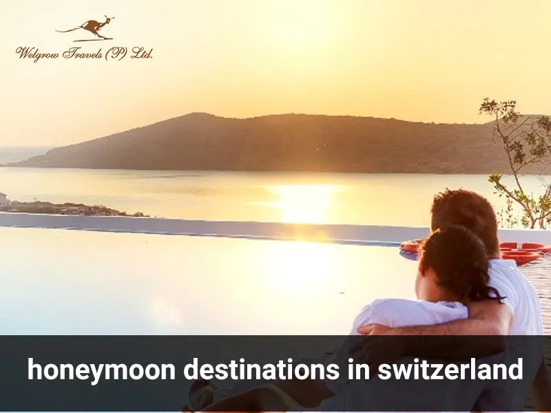 8422 zurich honeymoon