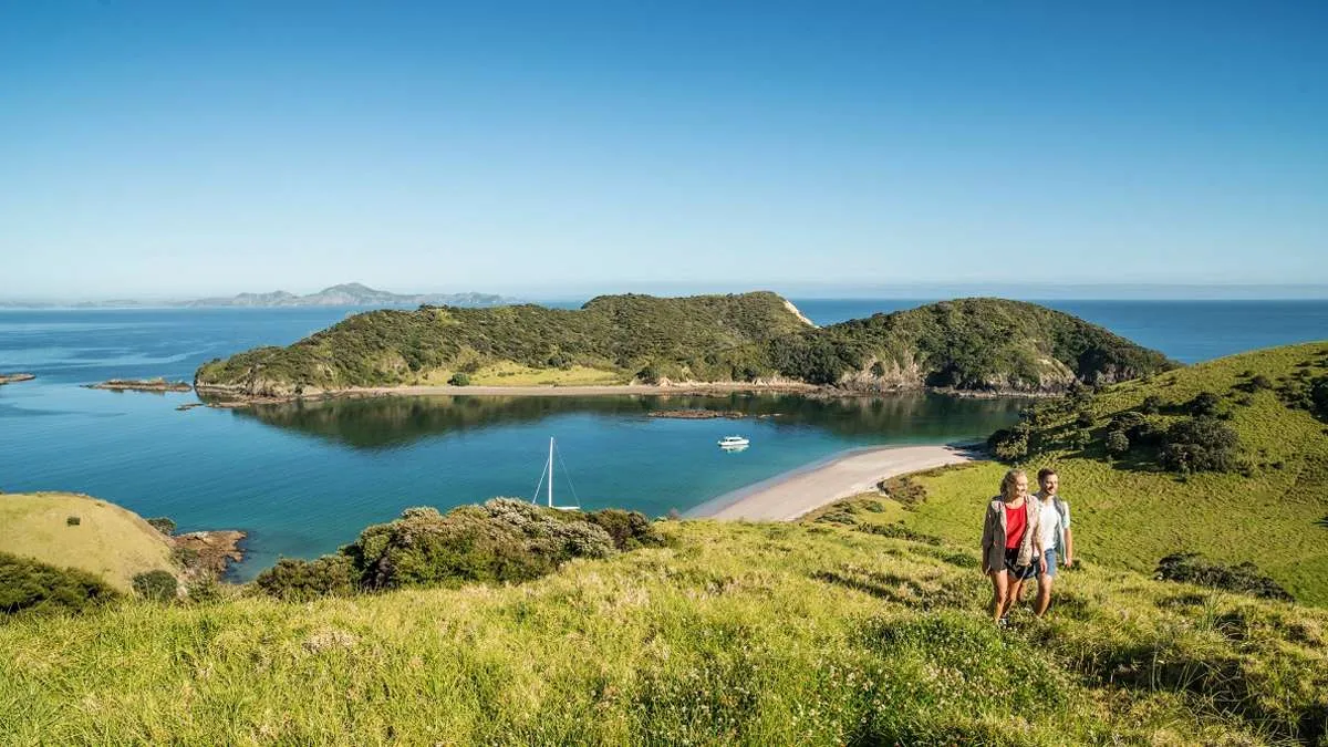 8423 auckland waiheke honeymoon