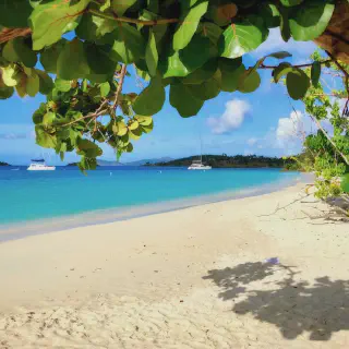 /img/8424-honeymoon-packing.webp