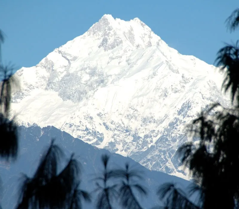 8428 darjeeling couple restaurant
