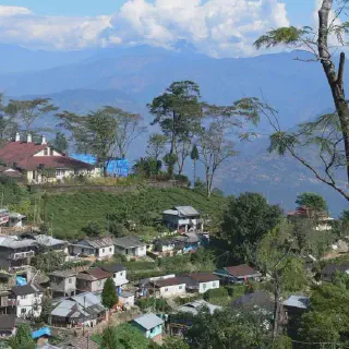 /img/8428-darjeeling-couple-room.webp