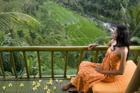 8428 darjeeling couple tea garden