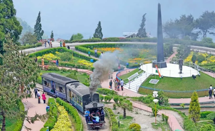 8428 darjeeling local cuisine