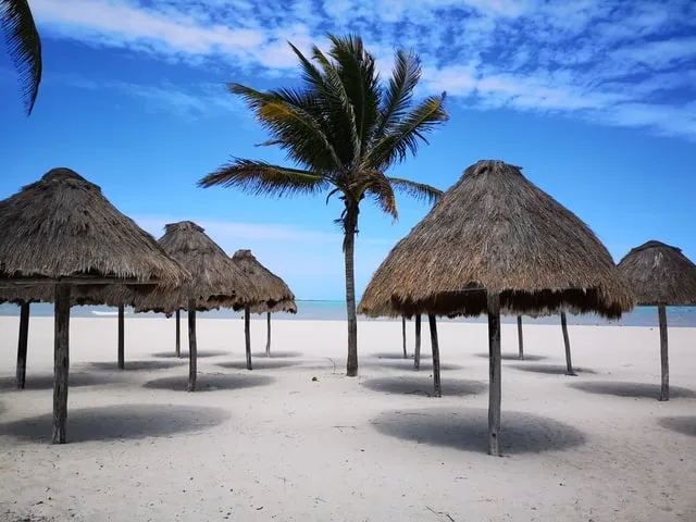 8434 mexico honeymoon activities