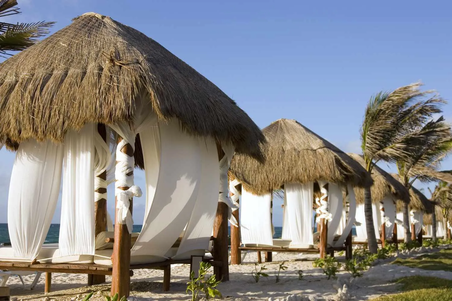 8434 mexico honeymoon resort
