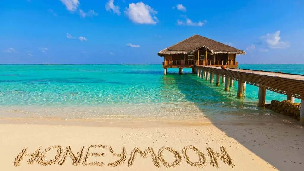 8445 maldives honeymoon