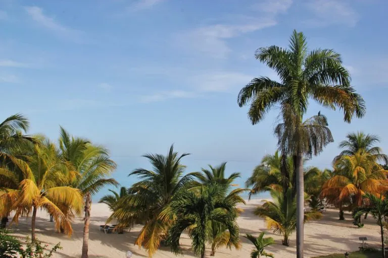 /img/8448-dominican-republic-honeymoon.webp