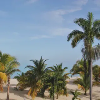 /img/8448-dominican-republic-honeymoon.webp