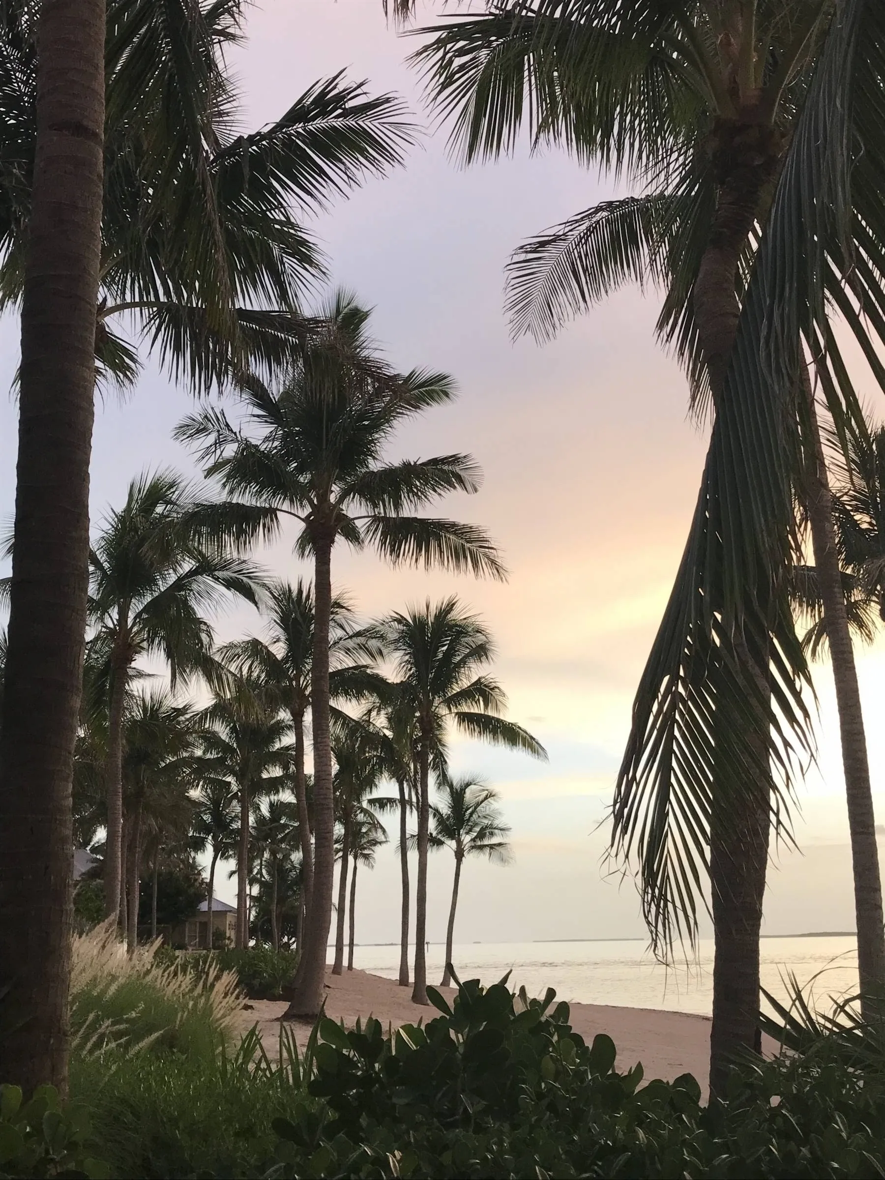 8466 florida keys key largo resort