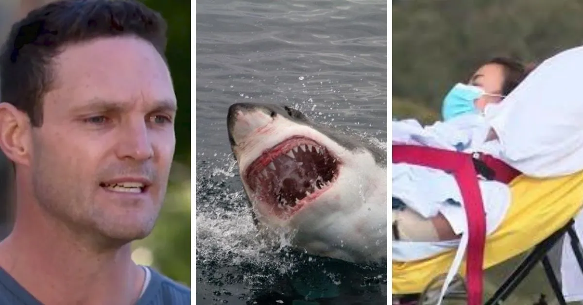 8470 shark attack injuries