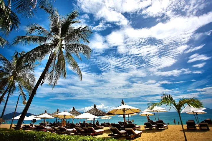 8479 mexico honeymoon activities