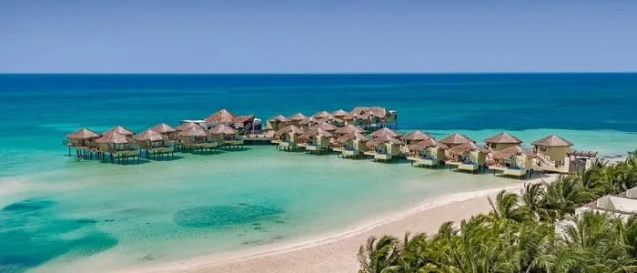 /img/8479-mexico-honeymoon-dinner.webp