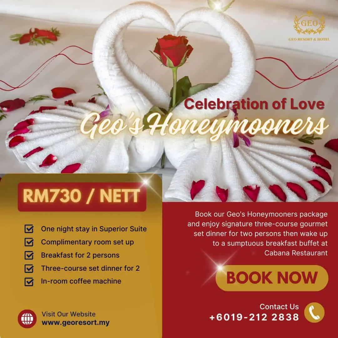 8492 honeymoon trip package options