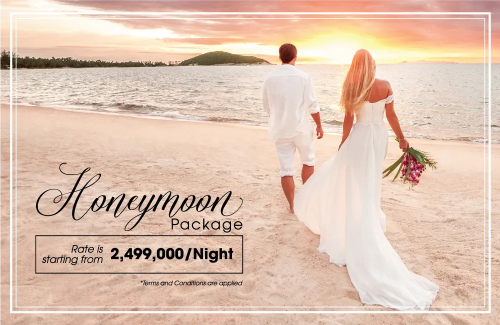 8492 romantic honeymoon dinner